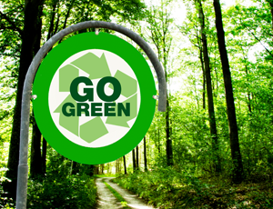 Go Green in 2016