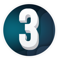 3